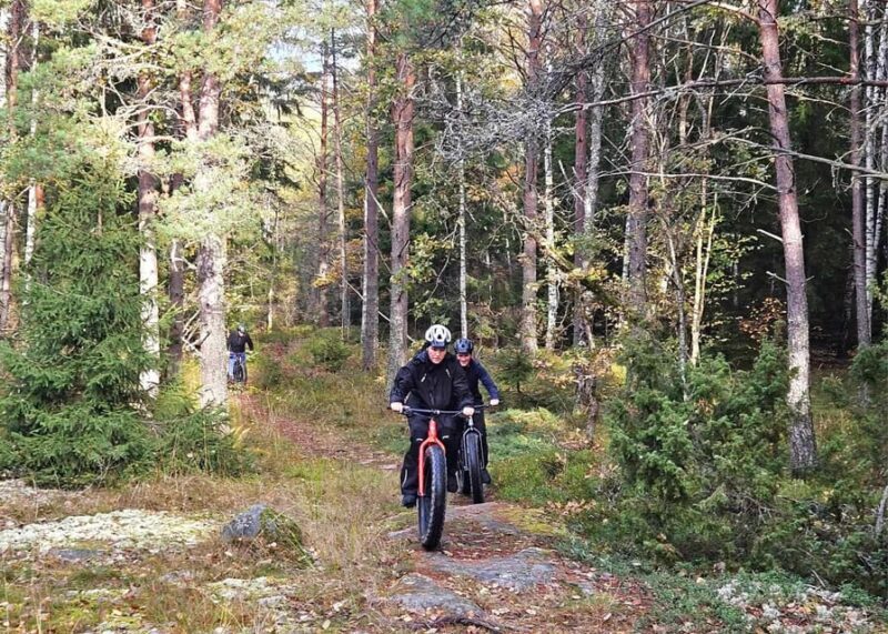 Stockholm: Fat Bike Forest Adventure with Lunch and Sauna - Final Thoughts on the Stockholm Fat Bike Forest Adventure
