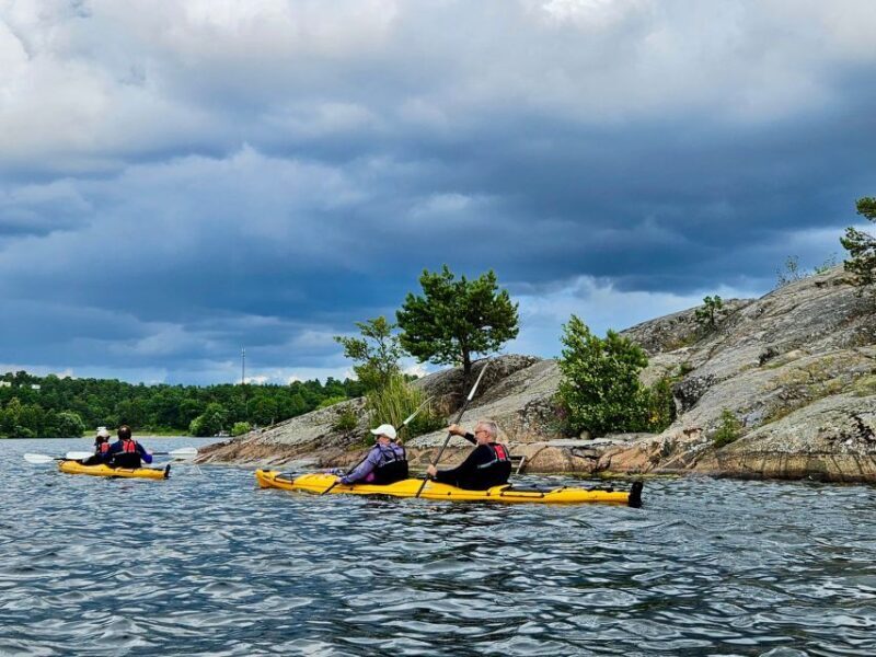 Stockholm: Guided Kayak Tour to Drottningholm Royal Palace - Who Will Love This Tour?