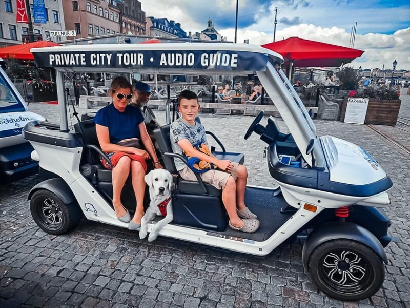 Stockholm Highlights by Golf Cart Tour - Authenticity & Unique Touches
