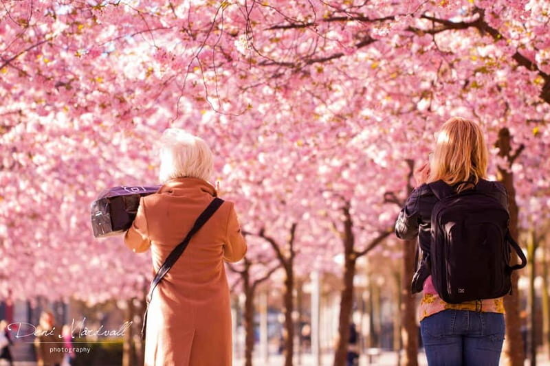 Stockholm: Highlights Guided Walking Tour - Who Will Love This Tour?