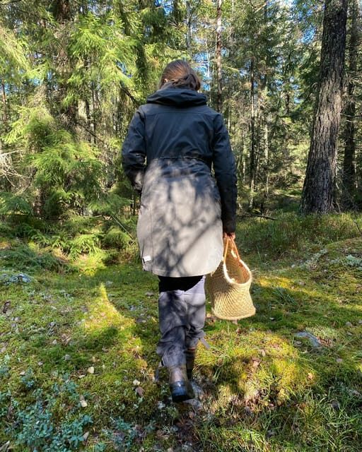 Stockholm, Mushroom and Wild Plant Foraging Tour with expert - Exploring Stockholm’s Forests from a New Perspective