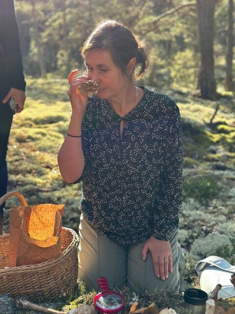Stockholm, Mushroom and Wild Plant Foraging Tour with expert - Final Thoughts: Is It Worth It?
