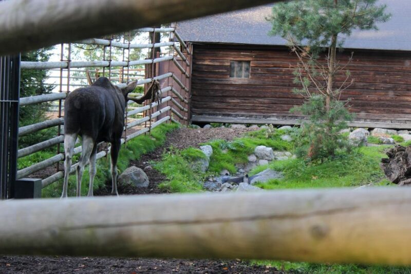 Stockholm: Personalized Guided Tour for Families - Final Thoughts