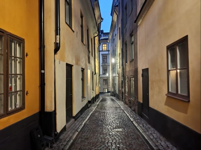 Stockholm: private 3h tour - Old Town, ferry and Vasa museum - Practical Details & Value