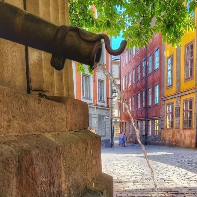 Stockholm: Royal & Classic History Walking Tour with Fika - Who Is This Tour Best For?