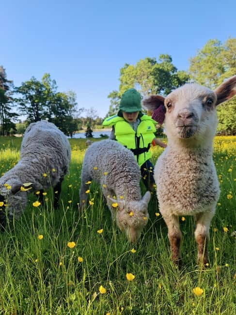 Stockholm: Self Guided Kayak Adventure in Nature Reserve - The Route and Its Highlights