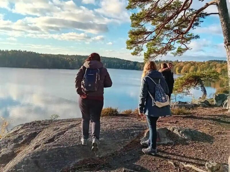 Stockholm: Sunset Hike in Tyresta National Park with Meal - What You Can Expect from the Experience