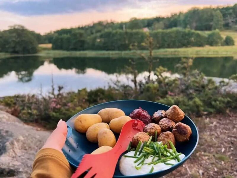 Stockholm: Sunset Hike in Tyresta National Park with Meal - Who Is This Tour Best For?