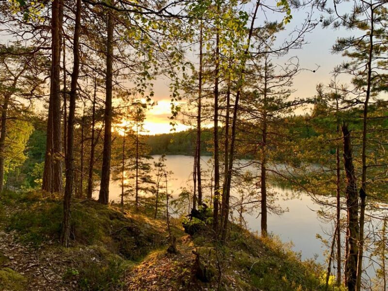 Stockholm: Sunset Hike in Tyresta National Park with Meal - Final Thoughts