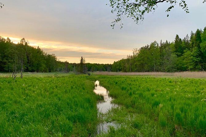 Stockholm: Sunset Hike in Tyresta National Park with Meal - Exploring the Itinerary in Detail