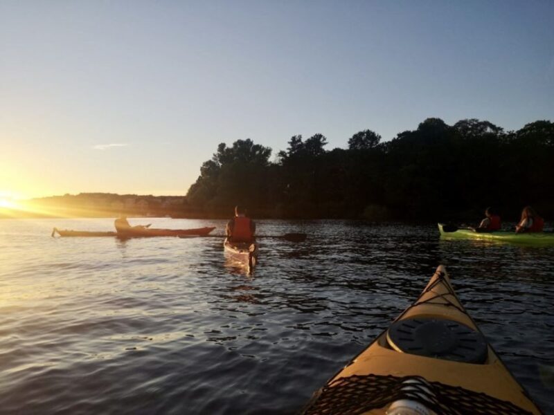 Stockholm: Sunset Kayak Tour in the City + Swedish Fika - Who Would Love This Tour?