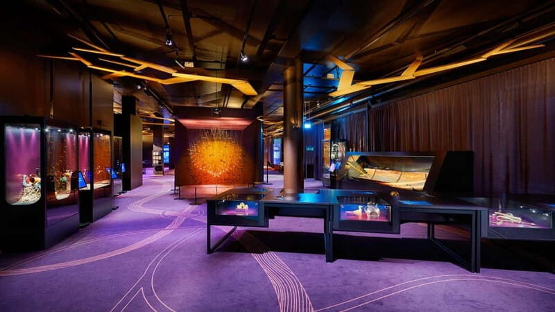 Stockholm: The Swedish History Museum Entry Ticket - Final Thoughts