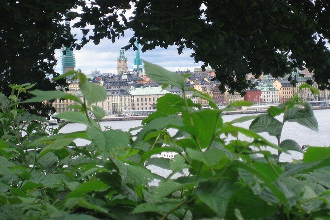 Stockholm Top attractions all-inclusive Gran Tour - Who Should Consider This Tour?