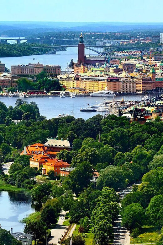 Stockholm VIP full day city tour by limousine in Stockholm - Key Points