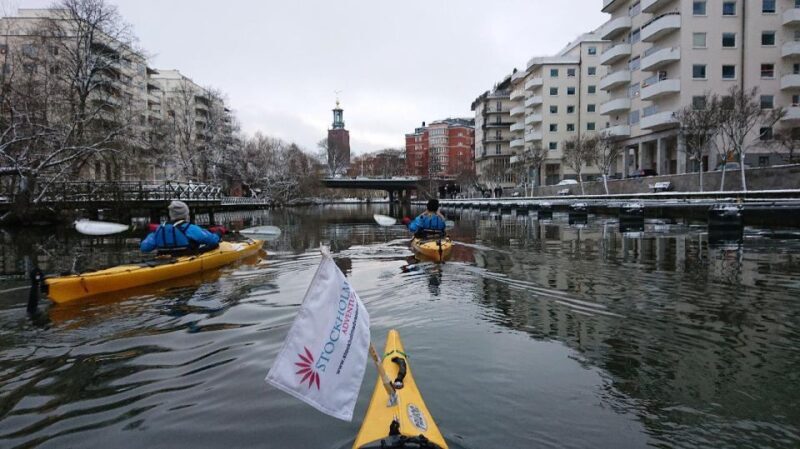 Stockholm: Winter City Kayaking Tour - A Deep Dive into the Stockholm Winter City Kayaking Tour