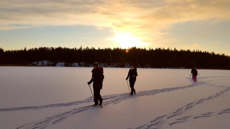 Stockholm: Winter Snowshoe Full-Day Hike - The Hike Through a Winter Wonderland