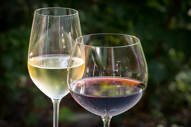 Ston and Peljesac with Wine Tasting Private Tour - The Experience in Detail