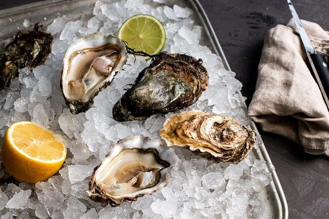 Ston bay boat ride & oystery & wine tour from Dubrovnik - An Authentic Taste of the Adriatic: Ston Bay Boat Ride & Oystery & Wine Tour Review