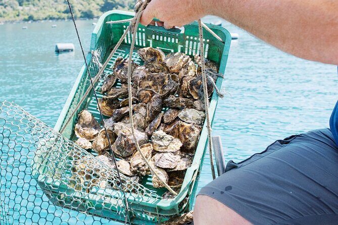 Ston Gastro Tour - FAQ