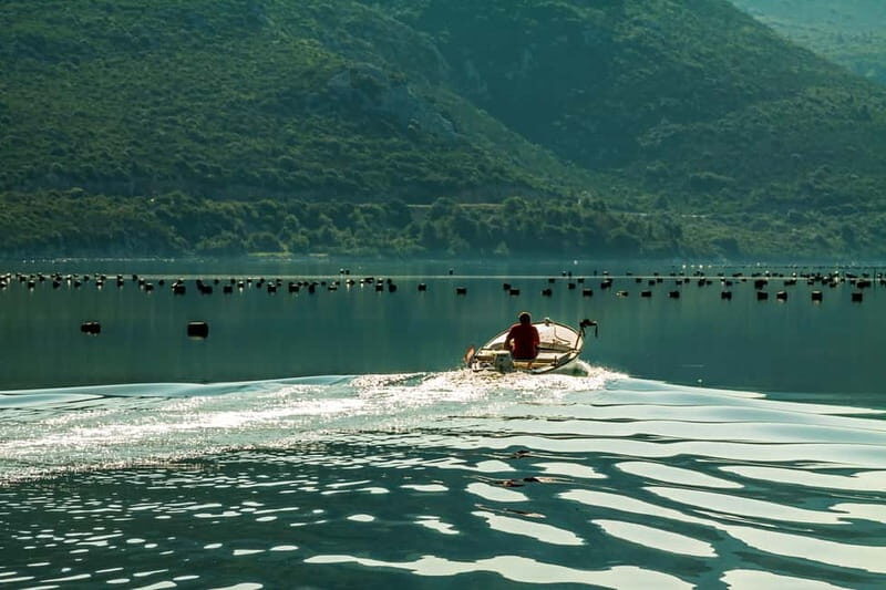 Ston Oyster & Wine Tasting Private Tour From Dubrovnik - A Deep Dive into the Tour Experience