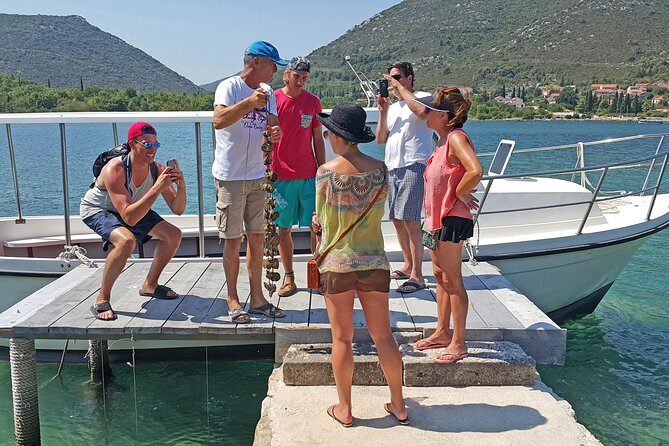 Ston Oysters & Wine Tasting Tour from Dubrovnik - An In-Depth Look at the Tour