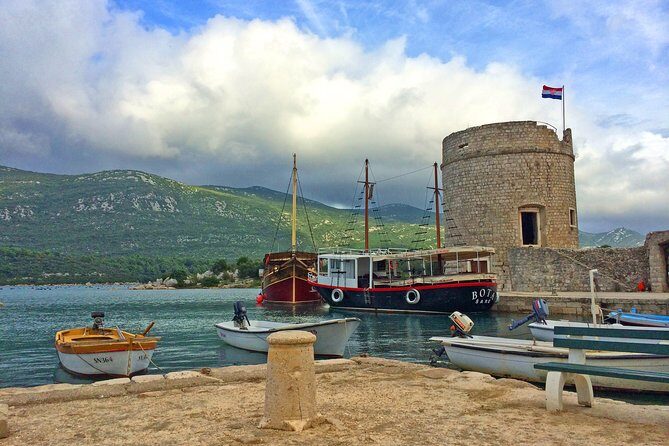 Ston Oysters & Wine Tasting Tour from Dubrovnik - Who Will Love This Tour?