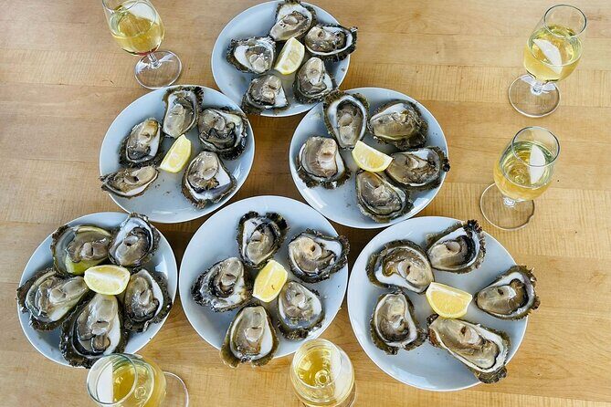 Ston Seafood & Peljea Wine Boat Tour with Oysters and Mussels - Practical Details & What You Should Know
