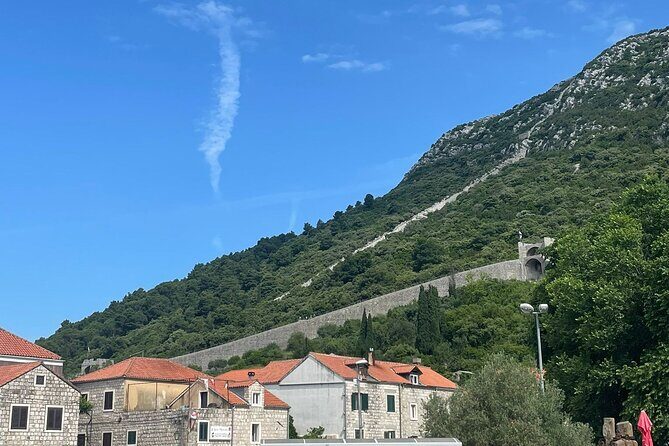 Ston Seafood & Peljea Wine Boat Tour with Oysters and Mussels - Who Is This Tour Best For?