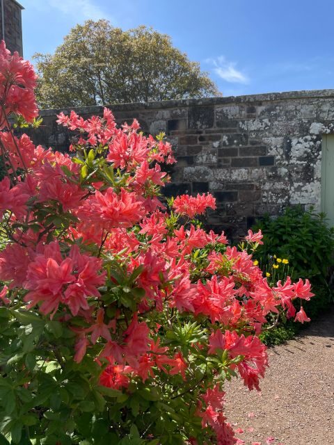 Stone & Story: Rosslyn Chapel & Melrose Abbey Day Trip - Who Is This Tour Best For?