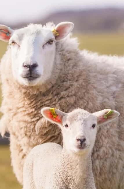 Stonehenge, Bath, Windsor, Cotswolds Villages - A Closer Look at the 2-Day Itinerary