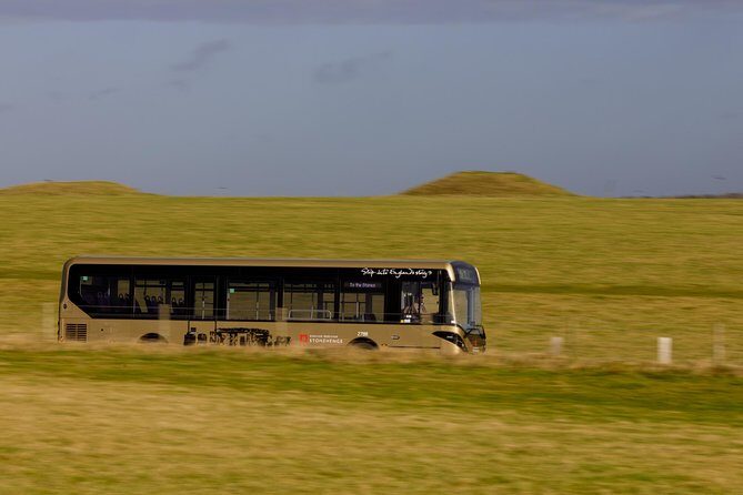 Stonehenge Shuttle Bus from London with Optional Fish & Chips - Authentic Experiences and Honest Feedback