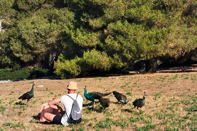 Stop on Island & National Park Day Cruise with Lunch Drinks - FAQs