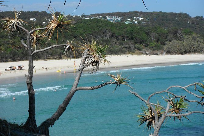 Stradbroke Island 4WD Day Trip from Brisbane - Details That Matter