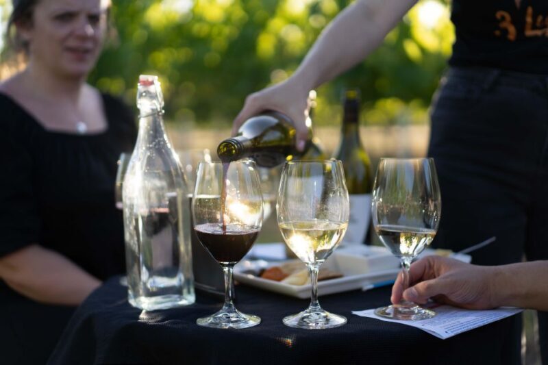 Strange Bird Flight of 3 Wine & Cheese - FAQ