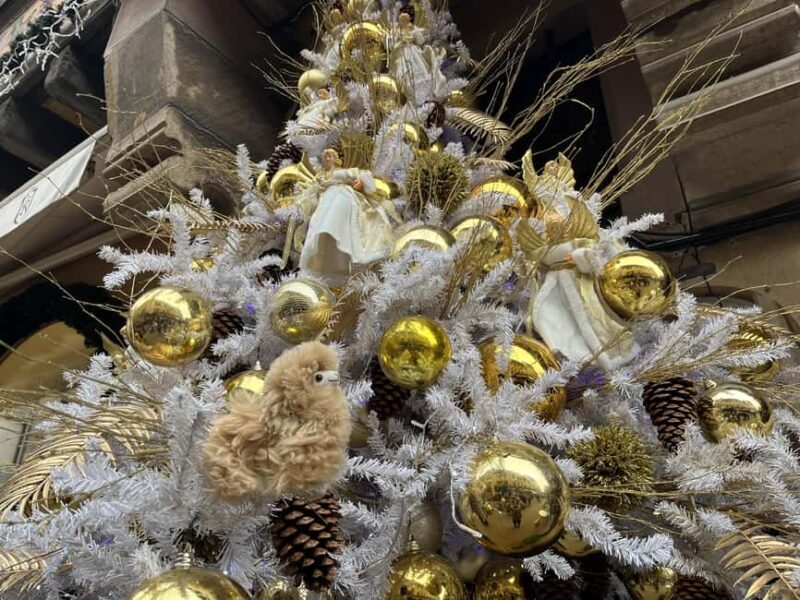 Strasbourg: Christmas Walking Tour with Mulled Wine - Key Points