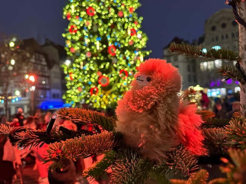 Strasbourg: Christmas Walking Tour with Mulled Wine - The Sum Up