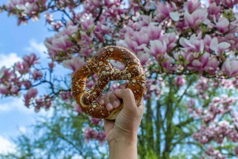 Strasbourg, culinary city tour with tastings in the new town - An Overview of the Experience
