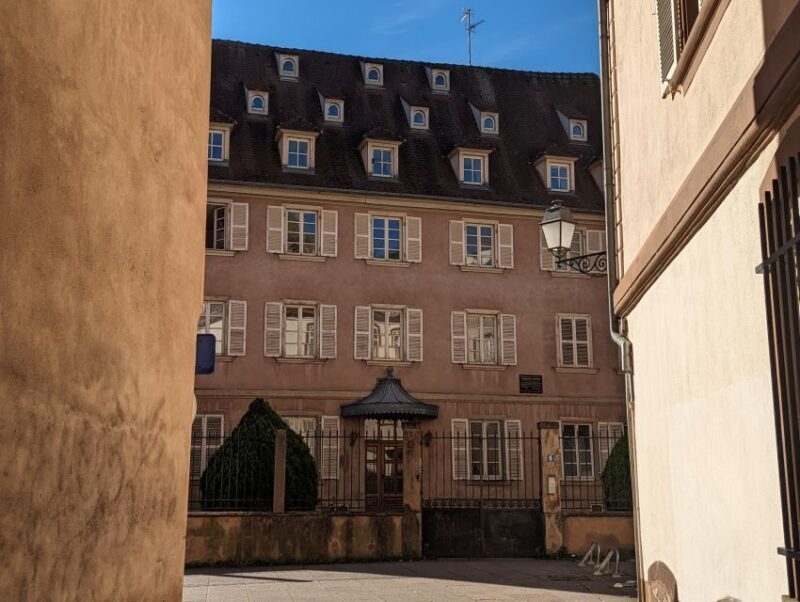 Strasbourg: Walking Tour with Local Guide - What Makes This Tour Flowy and Worthwhile