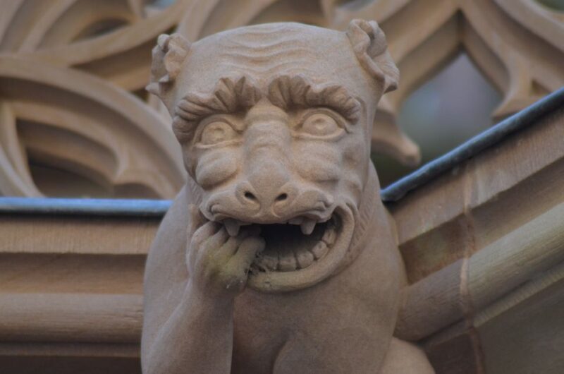 Strasbourgs Art and Culture revealed by a Local - A Deep Dive into the Experience