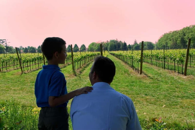 Strassoldo: Winery Tour and Tasting with the Owner - Final Thoughts