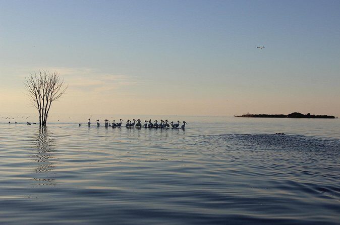 Strawberry Islands Scenic Boat Tour and Historic Cottage Row - Final Thoughts: Is It Worth It?