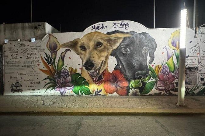 Street Art and Shopping Tour in Playa del Carmen - Who should consider this tour?