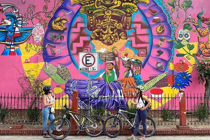 Street Art Bike Ride - The Art, the Guide, and the Experience
