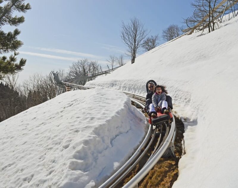 Stresa: Alpyland Alpine Coaster Ride on Mount Mottarone - An In-Depth Look at the Alpyland Alpine Coaster Experience