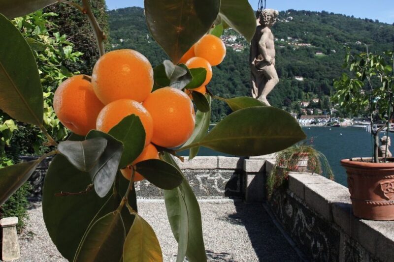 Stresa: Isola Bella Hop-on Hop-off Boat Tour - FAQs
