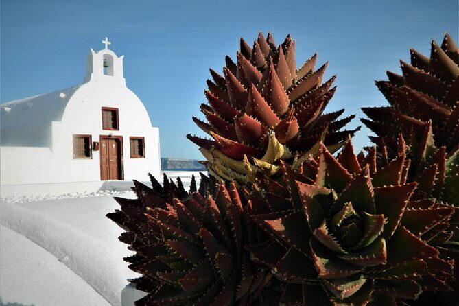 Stress-Free Santorini Shore Excursion: Private Highlights Tour - Practical Aspects and Value