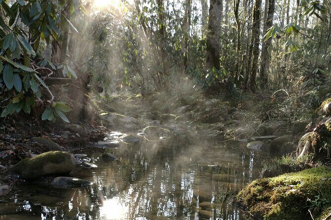 Stroll Back in Time Smokies History Streams and Forest Hike - Frequently Asked Questions