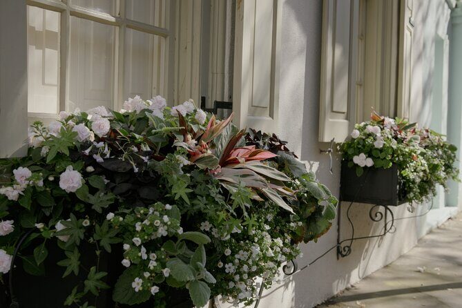 Stroll Historic South of Broad in Charlestons Walled City - A Closer Look at the Tour Experience