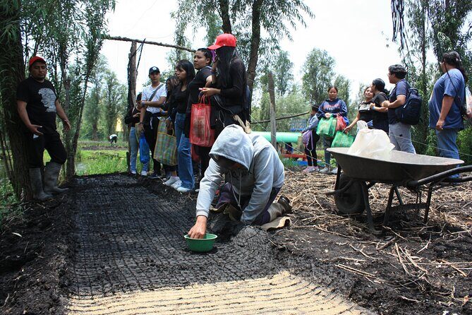 Stroll in the famous floating gardens of ancient Mexico - Key Points