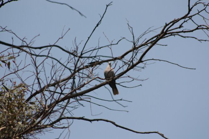 Stroll in the famous floating gardens of ancient Mexico - FAQ About the Xochimilco Floating Gardens Tour